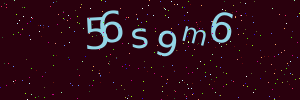 Validation image