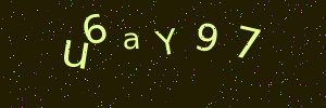 Validation image