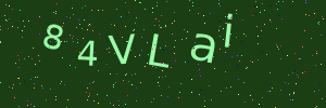 Validation image