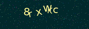 Validation image