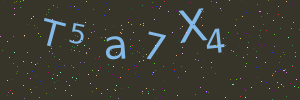 Validation image